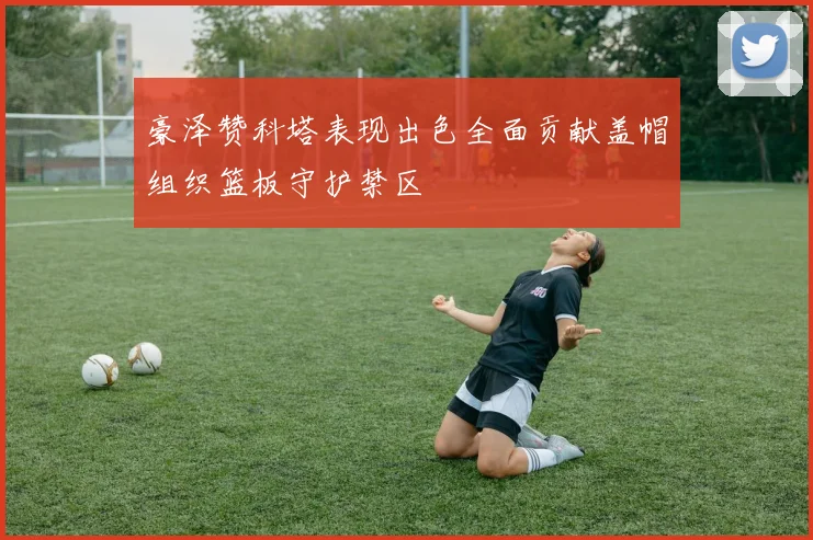 豪泽赞科塔表现出色全面贡献盖帽组织篮板守护禁区
