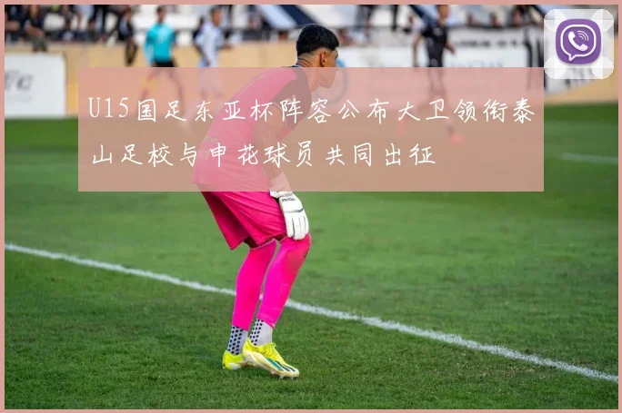 U15国足东亚杯阵容公布大卫领衔泰山足校与申花球员共同出征