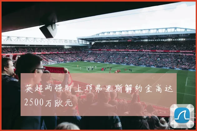 英超两强盯上邓弗里斯解约金高达2500万欧元