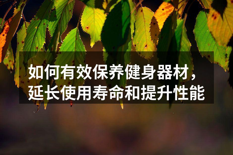 定期清洁器材,确保安全和卫生