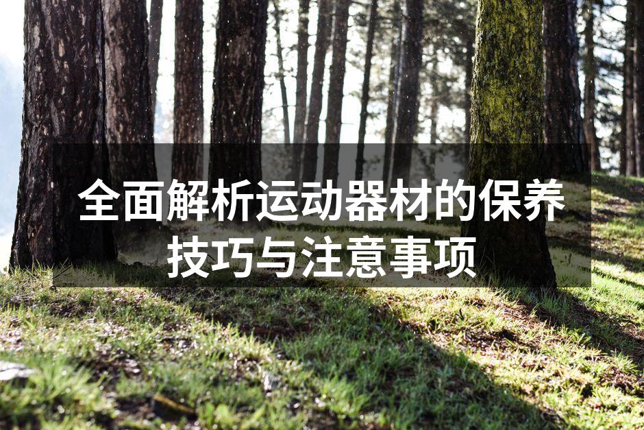 全面解析运动器材的保养技巧与注意事项