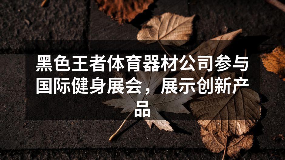 黑色王者展位吸引众多参观者