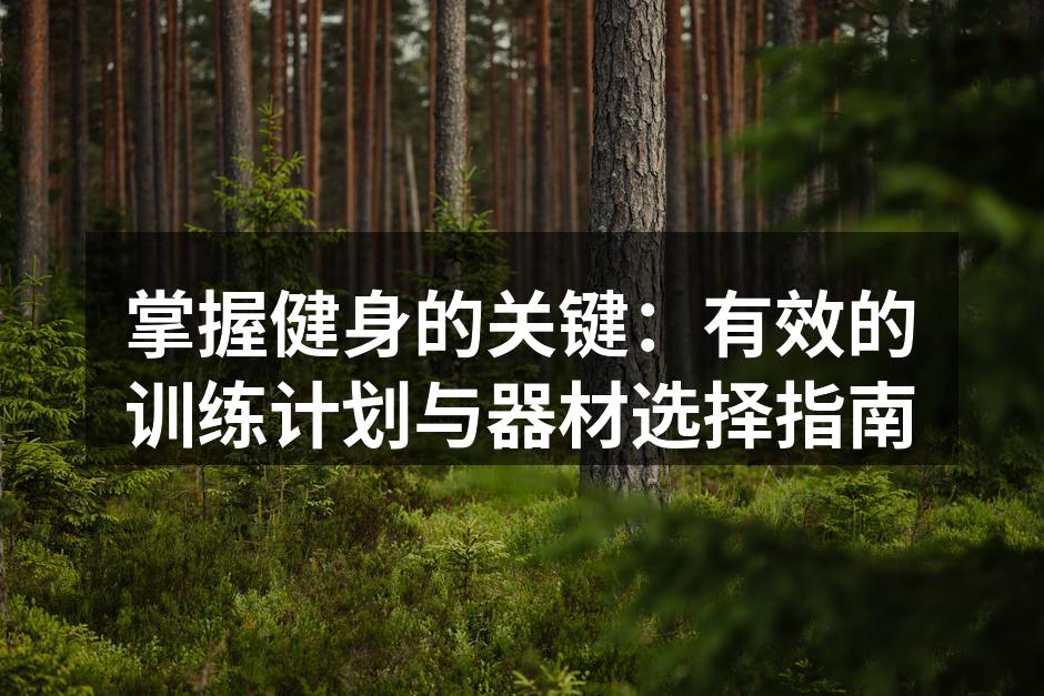 个性化训练计划示例