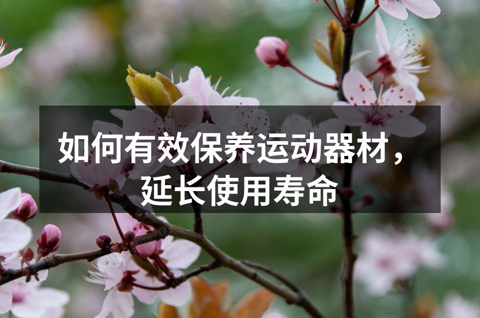 定期检查器材,保障安全使用