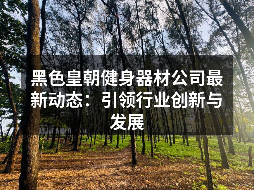 黑色皇朝新款智能跑步机